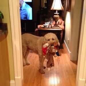 Meet your Posher, Becky